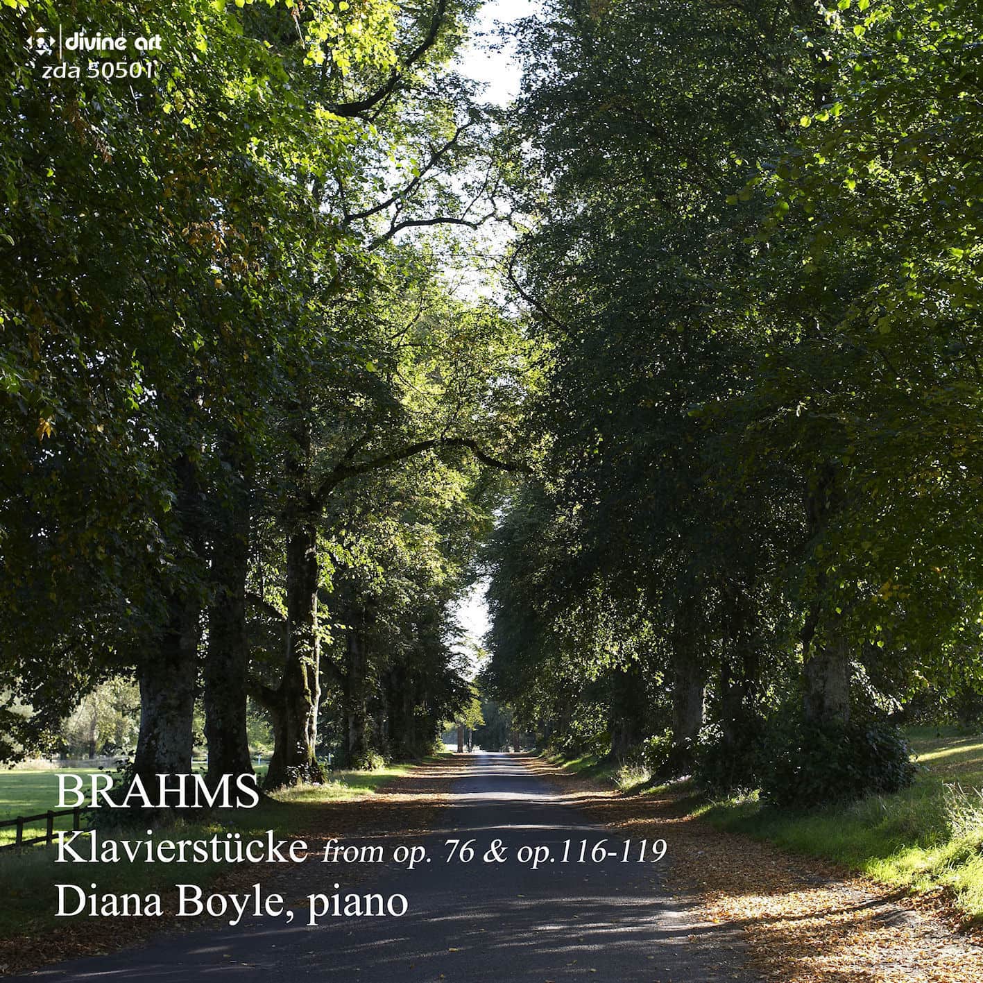 Diana Boyle - Brahms Piano Works