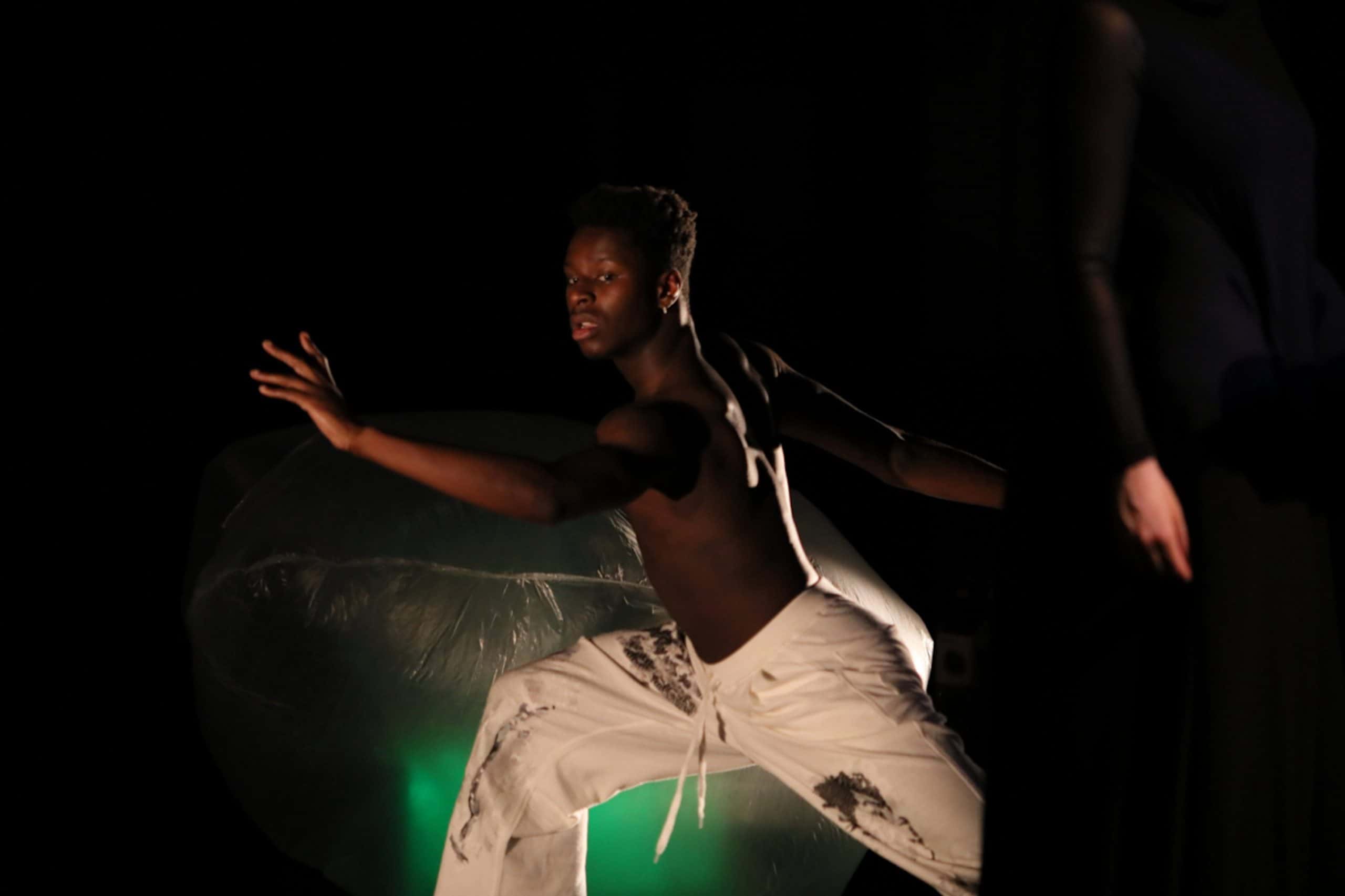 ROBE performance image